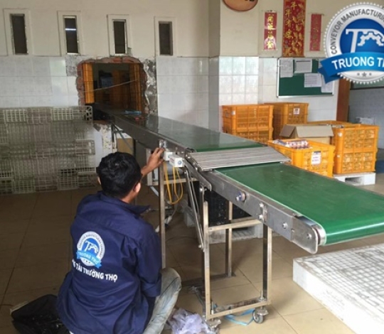 Băng tải PVC tải trứng